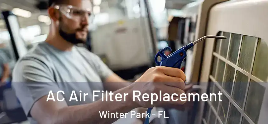  AC Air Filter Replacement Winter Park - FL