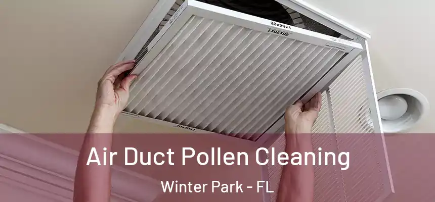 Air Duct Pollen Cleaning Winter Park - FL
