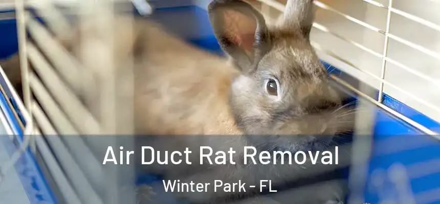  Air Duct Rat Removal Winter Park - FL