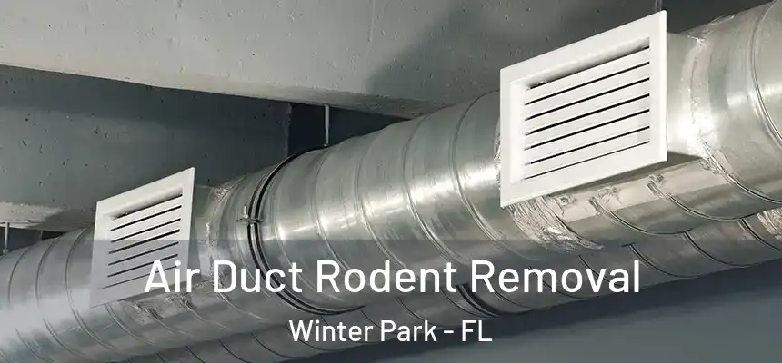  Air Duct Rodent Removal Winter Park - FL
