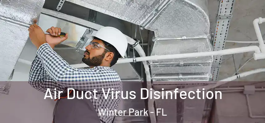  Air Duct Virus Disinfection Winter Park - FL