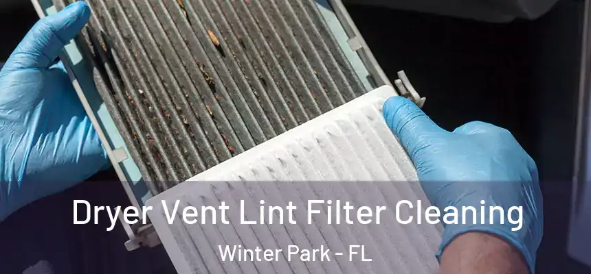 Dryer Vent Lint Filter Cleaning Winter Park - FL