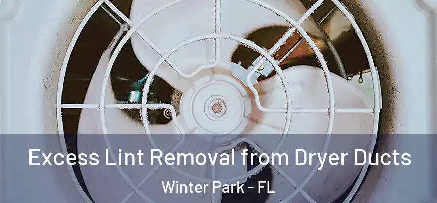  Excess Lint Removal from Dryer Ducts Winter Park - FL
