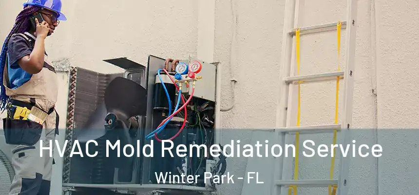  HVAC Mold Remediation Service Winter Park - FL