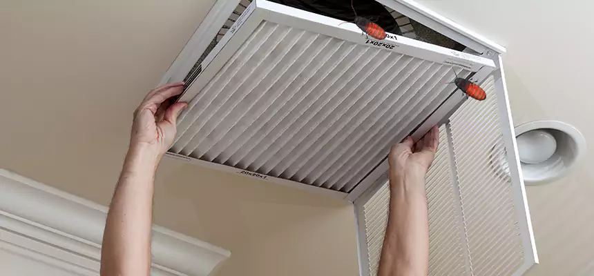 Preventive Cockroach-Proofing for Ducts in Winter Park