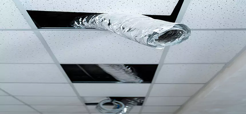 Our Air Duct Pet Hair Removal Services in Winter Park, FL