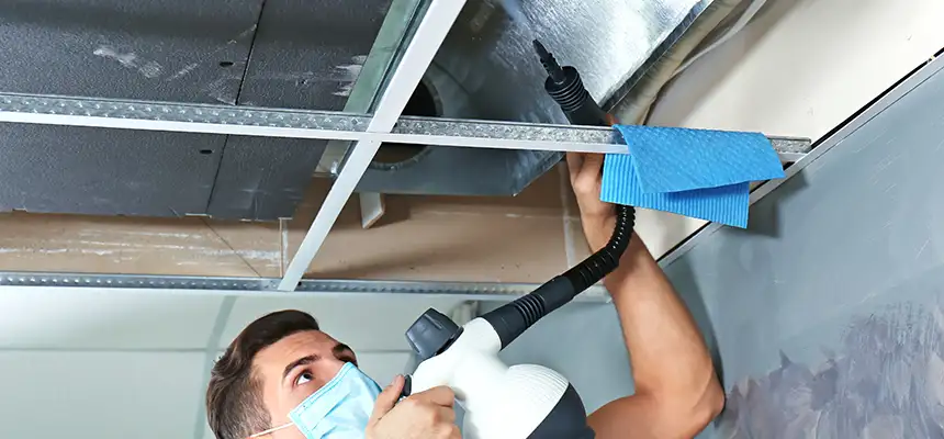 Our Air Duct Rodent Removal Services in Winter Park, FL