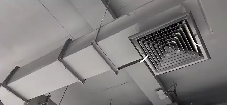 Our Pest Removal From Ducts Services in Winter Park, FL