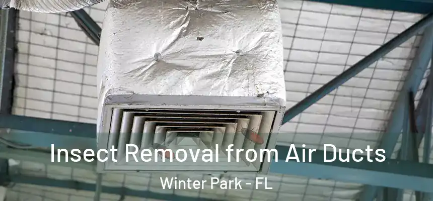  Insect Removal from Air Ducts Winter Park - FL
