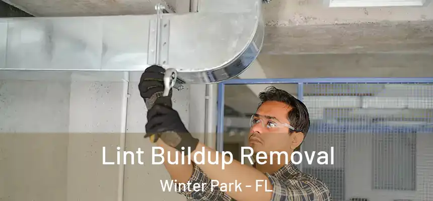 Lint Buildup Removal Winter Park - FL