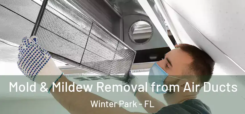  Mold & Mildew Removal from Air Ducts Winter Park - FL