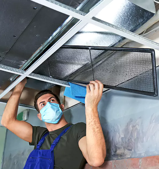 About Air Duct Bacteria Removal in Winter Park