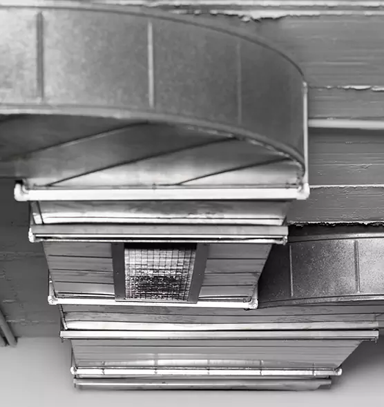 Professional Air Duct Pest Removal in Winter Park, FL