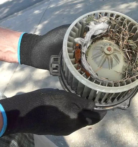 About Air Duct Rat Removal in Winter Park, FL