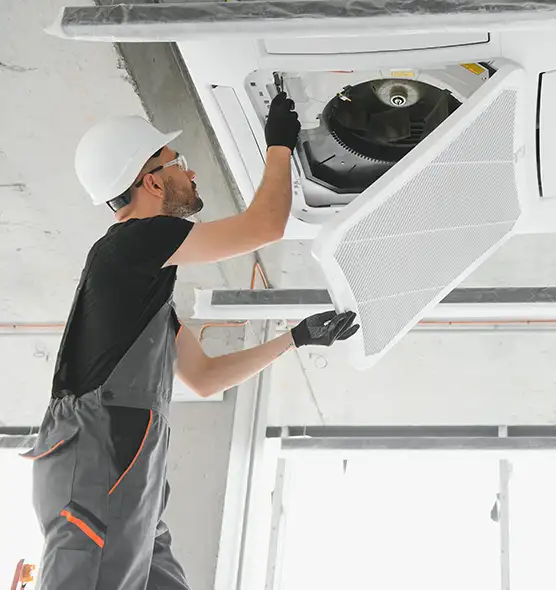 About Air Duct Rodent Removal in Winter Park, FL