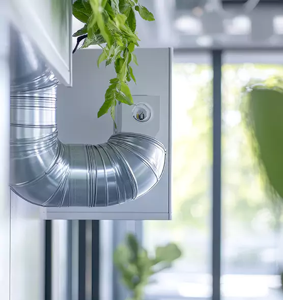 Professional Eco-Friendly Duct Cleaning Services in Winter Park, FL