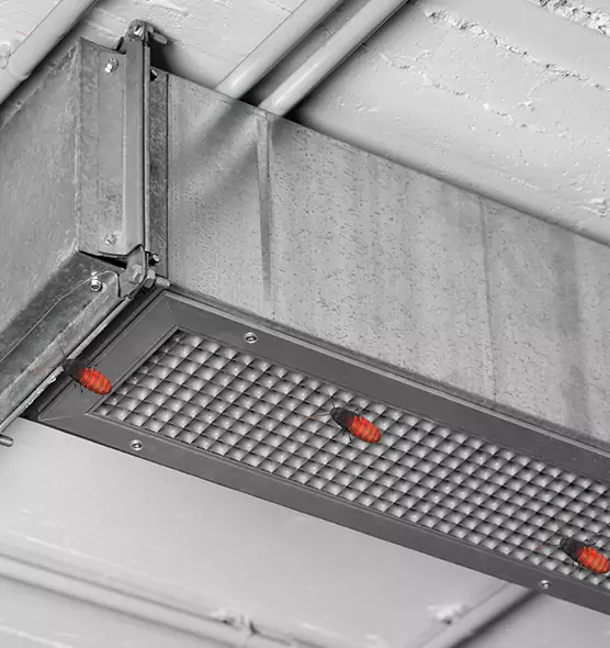 Affordable Insect Removal from Air Ducts in Winter Park, FL