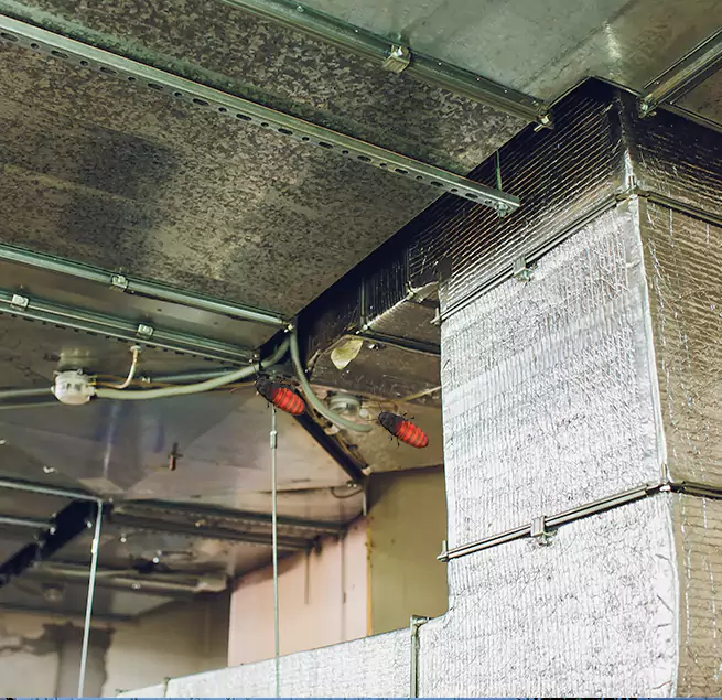 Why Homeowners & Businesses Trust Us in Winter Park, FL?