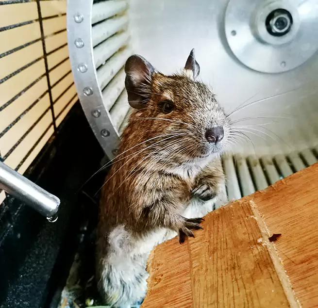 Why Homeowners & Businesses Trust Us Winter Park, FL