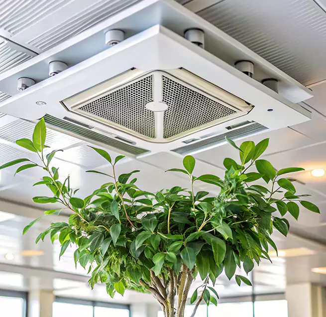 Why Homeowners & Businesses Trust Us in Winter Park, FL?