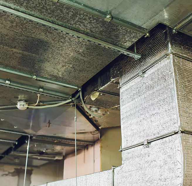 Why Homeowners & Businesses Trust Us in Winter Park, FL?